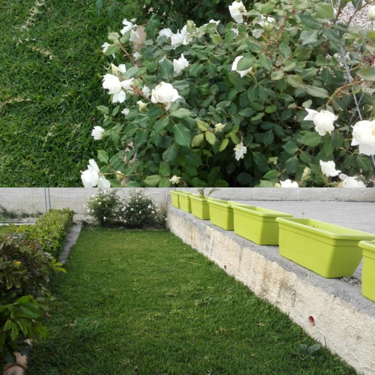 La Casa Delle Farfalle Bed & Breakfast Syracuse ภายนอก รูปภาพ