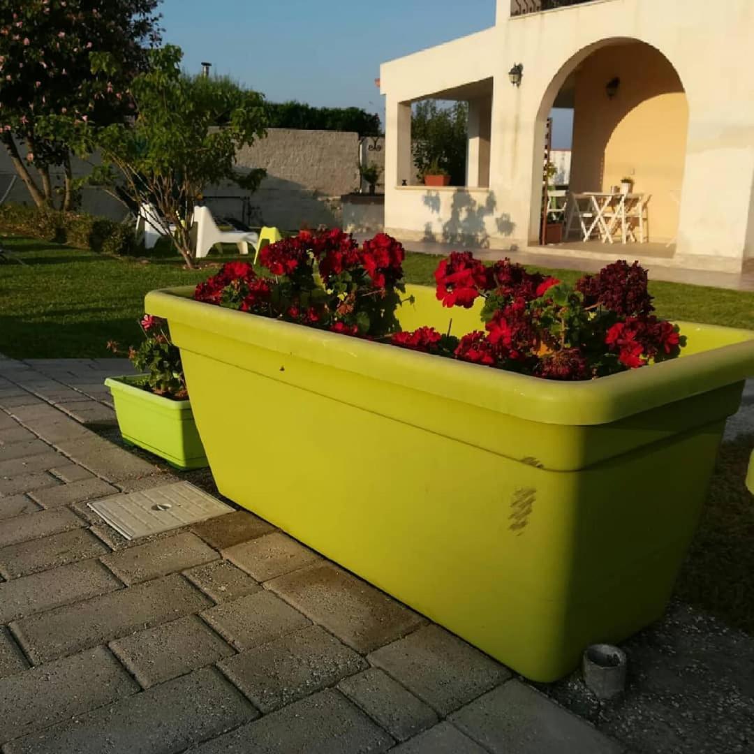 La Casa Delle Farfalle Bed & Breakfast Syracuse ภายนอก รูปภาพ